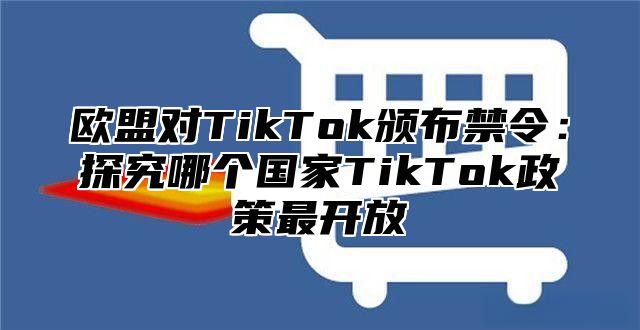 欧盟对TikTok颁布禁令：探究哪个国家TikTok政策最开放