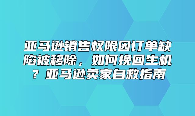亚马逊销售权限因订单缺陷被移除，如何挽回生机？亚马逊卖家自救指南