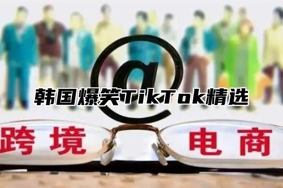 韩国爆笑TikTok精选