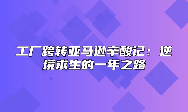 工厂跨转亚马逊辛酸记：逆境求生的一年之路