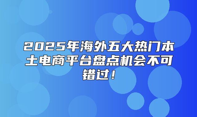 2025年海外五大热门本土电商平台盘点机会不可错过！