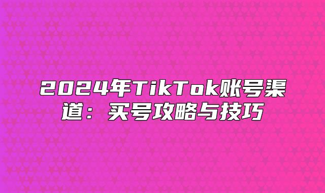 2025年TikTok账号渠道：买号攻略与技巧