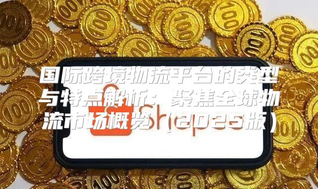 国际跨境物流平台的类型与特点解析：聚焦全球物流市场概览2025版