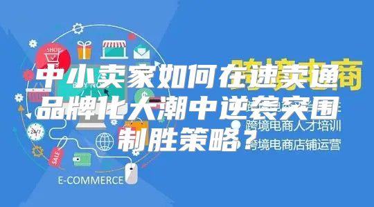 中小卖家如何在速卖通品牌化大潮中逆袭突围制胜策略？