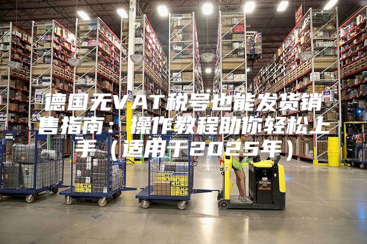 德国无VAT税号也能发货销售指南：操作教程助你轻松上手适用于2025年
