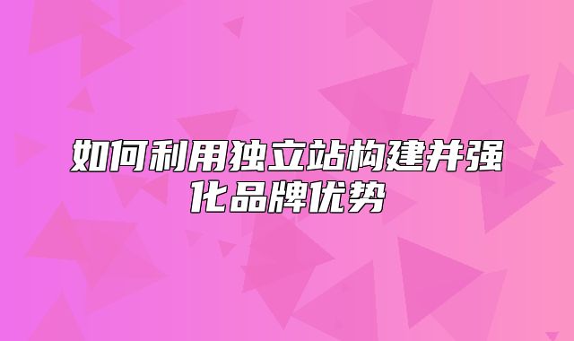 如何利用独立站构建并强化品牌优势