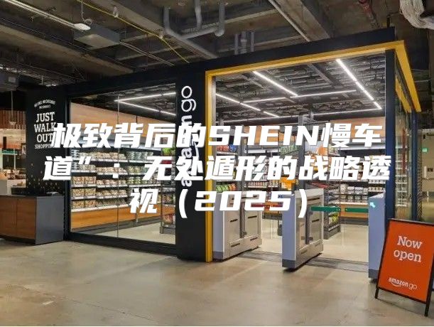 极致背后的SHEIN慢车道”：无处遁形的战略透视2025
