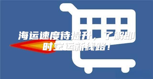 海运速度待提升，了解即时空运新线路！