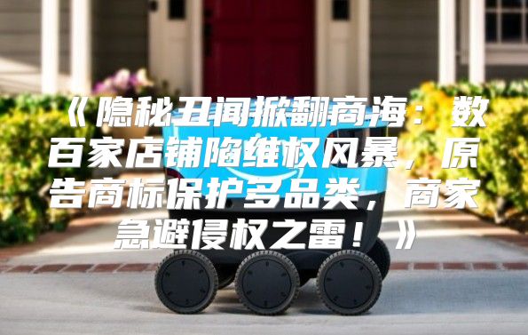 隐秘丑闻掀翻商海：数百家店铺陷维权风暴，原告商标保护多品类，商家急避侵权之雷！