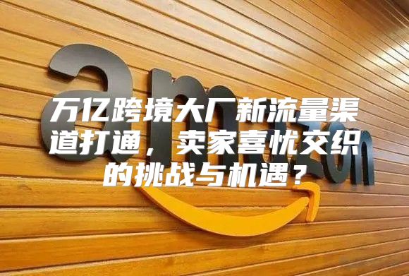 万亿跨境大厂新流量渠道打通，卖家喜忧交织的挑战与机遇？