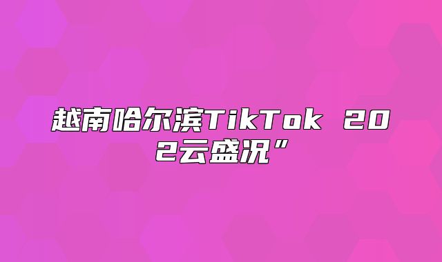 越南哈尔滨TikTok 202云盛况”