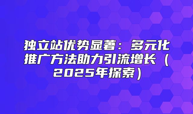 独立站优势显著：多元化推广方法助力引流增长2025年探索