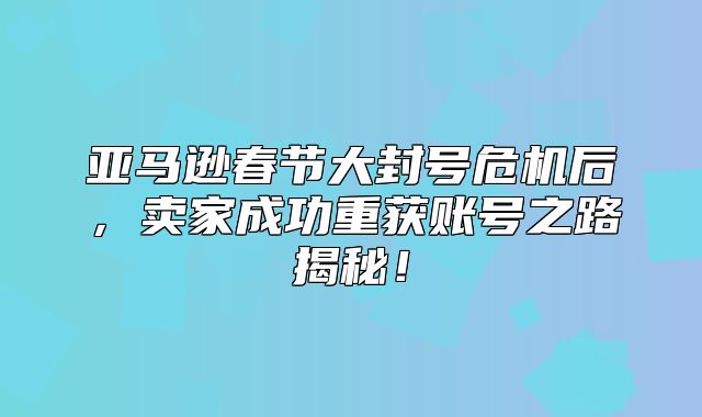 亚马逊春节大封号危机后，卖家成功重获账号之路揭秘！