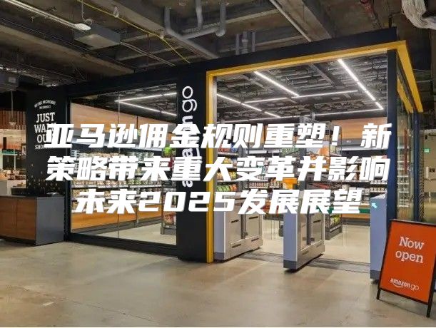 亚马逊佣金规则重塑！新策略带来重大变革并影响未来2025发展展望