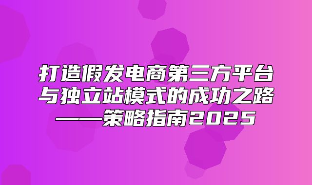 打造假发电商第三方平台与独立站模式的成功之路——策略指南2025
