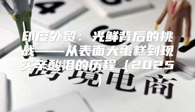 印度外贸：光鲜背后的挑战——从表面大蛋糕到现实辛酸泪的历程2025