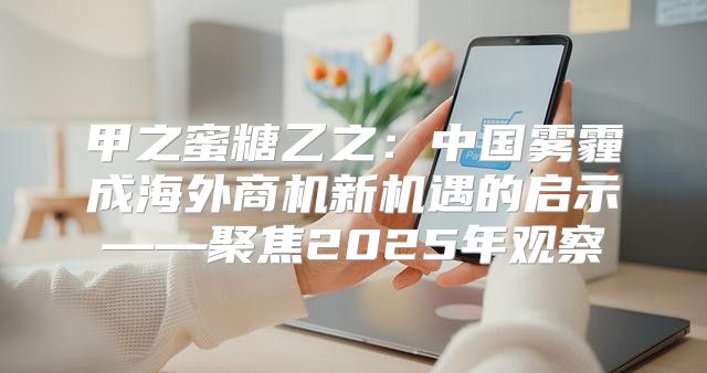 甲之蜜糖乙之：中国雾霾成海外商机新机遇的启示——聚焦2025年观察