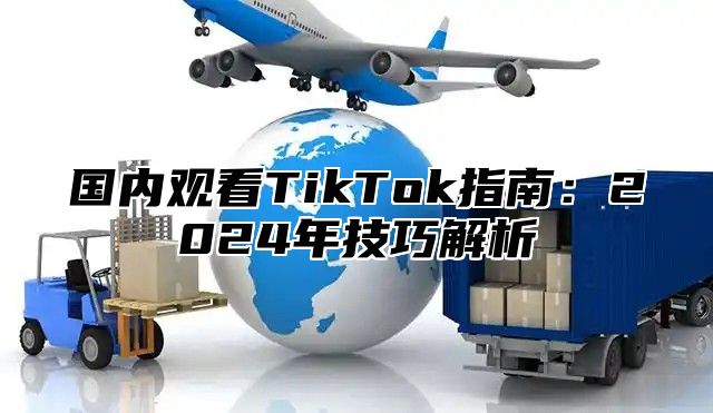 国内观看TikTok指南：2025年技巧解析