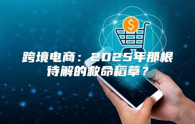跨境电商：2025年那根待解的救命稻草？