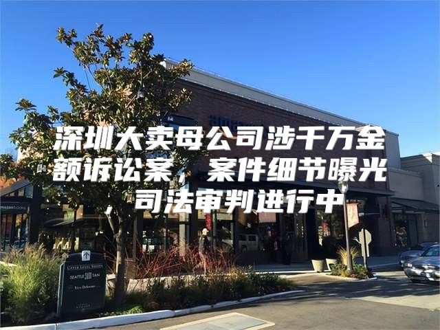 深圳大卖母公司涉千万金额诉讼案，案件细节曝光，司法审判进行中