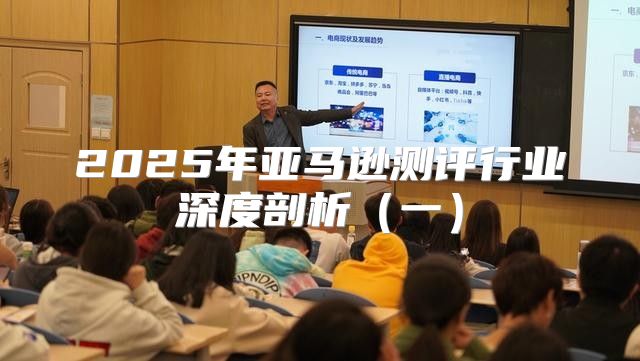 2025年亚马逊测评行业深度剖析一