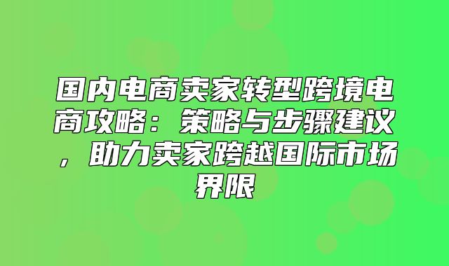 国内电商卖家转型跨境电商攻略：策略与步骤建议，助力卖家跨越国际市场界限
