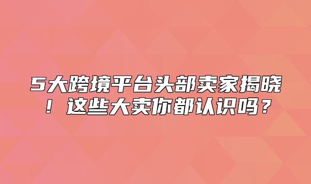 5大跨境平台头部卖家揭晓！这些大卖你都认识吗？