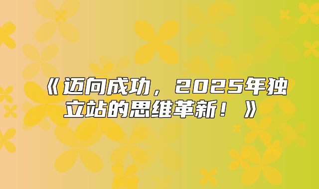 迈向成功，2025年独立站的思维革新！