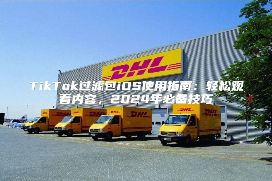 TikTok过滤包iOS使用指南：轻松观看内容，2025年必备技巧