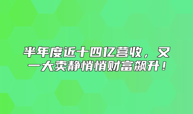 半年度近十四亿营收，又一大卖静悄悄财富飙升！