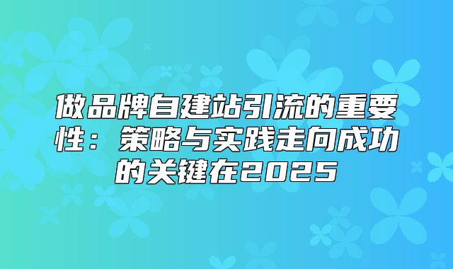 做品牌自建站引流的重要性：策略与实践走向成功的关键在2025