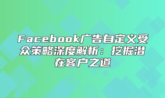 Facebook广告自定义受众策略深度解析：挖掘潜在客户之道