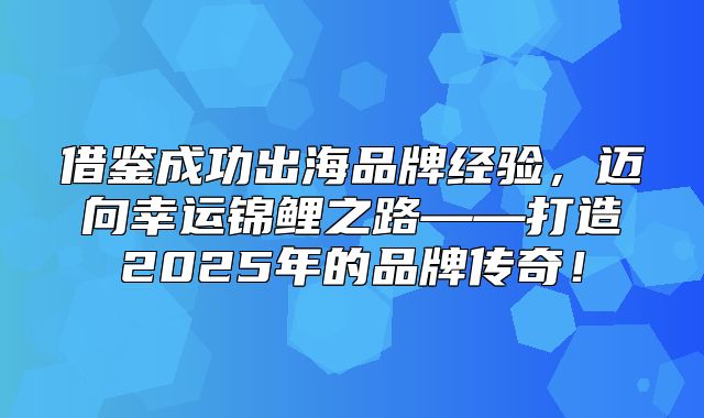 借鉴成功出海品牌经验，迈向幸运锦鲤之路——打造2025年的品牌传奇！