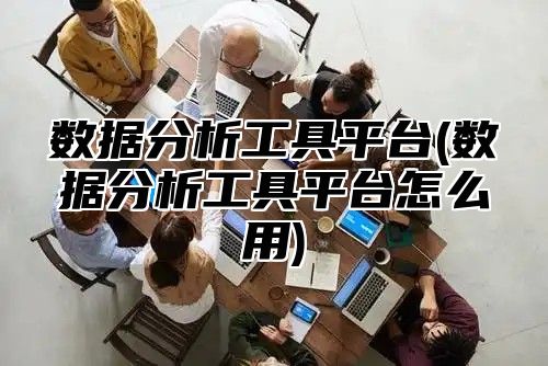 数据分析工具平台(数据分析工具平台怎么用)