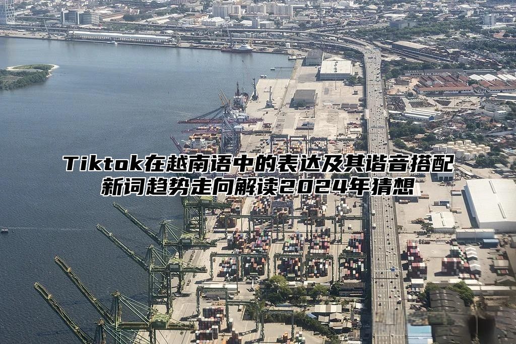 Tiktok在越南语中的表达及其谐音搭配新词趋势走向解读2025年猜想