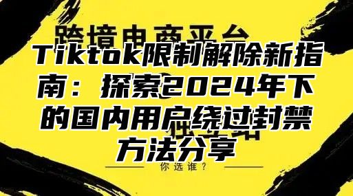 Tiktok限制解除新指南：探索2025年下的国内用户绕过封禁方法分享