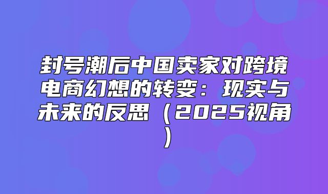 封号潮后中国卖家对跨境电商幻想的转变：现实与未来的反思2025视角