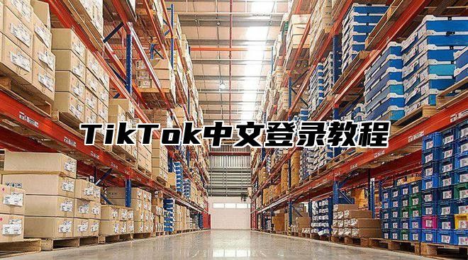 TikTok中文登录教程