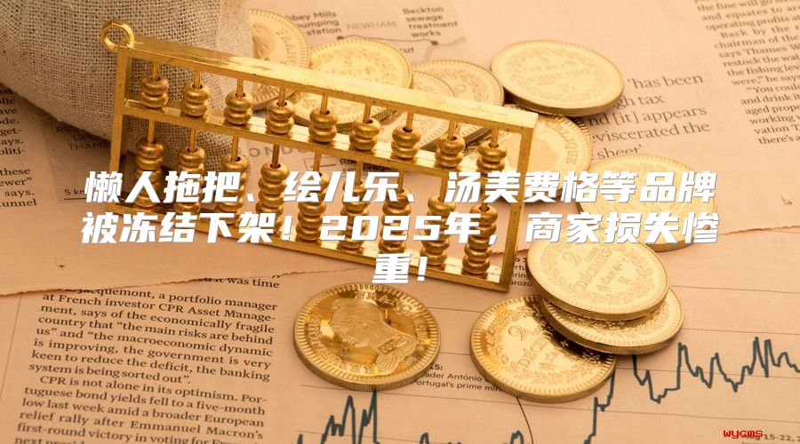 懒人拖把、绘儿乐、汤美费格等品牌被冻结下架！2025年，商家损失惨重！