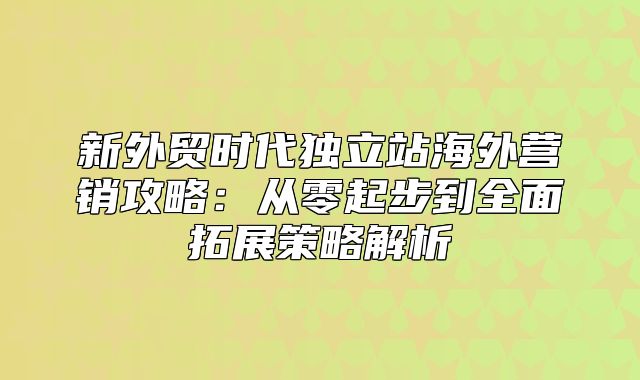 新外贸时代独立站海外营销攻略：从零起步到全面拓展策略解析