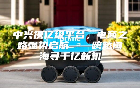 中兴携亿级平台，电商之路强势启航——跨越闽海寻千亿新机
