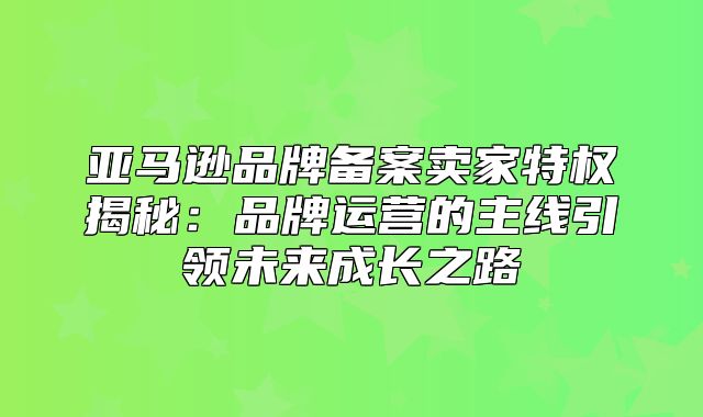 亚马逊品牌备案卖家特权揭秘：品牌运营的主线引领未来成长之路