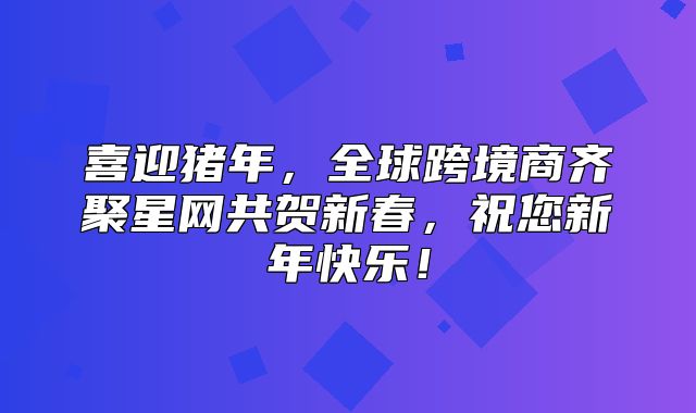 喜迎猪年，全球跨境商齐聚星网共贺新春，祝您新年快乐！