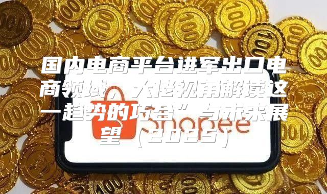 国内电商平台进军出口电商领域，大佬视角解读这一趋势的巧合”与未来展望2025