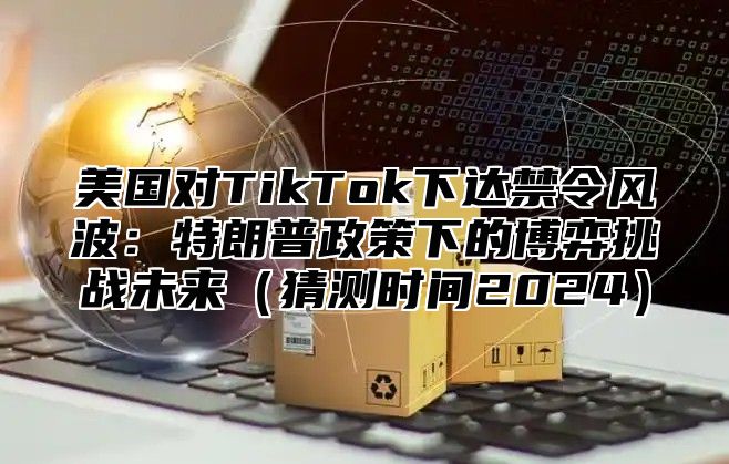 美国对TikTok下达禁令风波：特朗普政策下的博弈挑战未来猜测时间2025
