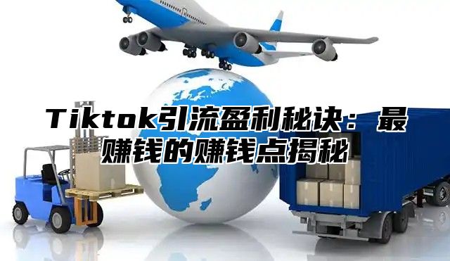 Tiktok引流盈利秘诀：最赚钱的赚钱点揭秘