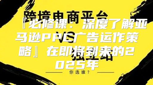 『必修课：深度了解亚马逊PPC广告运作策略』在即将到来的2025年