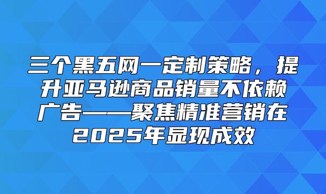 三个黑五网一定制策略，提升亚马逊商品销量不依赖广告——聚焦精准营销在2025年显现成效