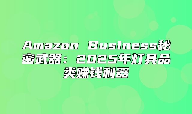 Amazon Business秘密武器：2025年灯具品类赚钱利器