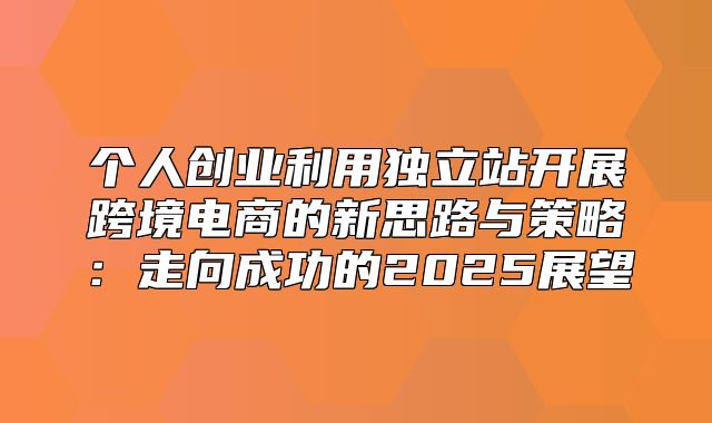 个人创业利用独立站开展跨境电商的新思路与策略：走向成功的2025展望
